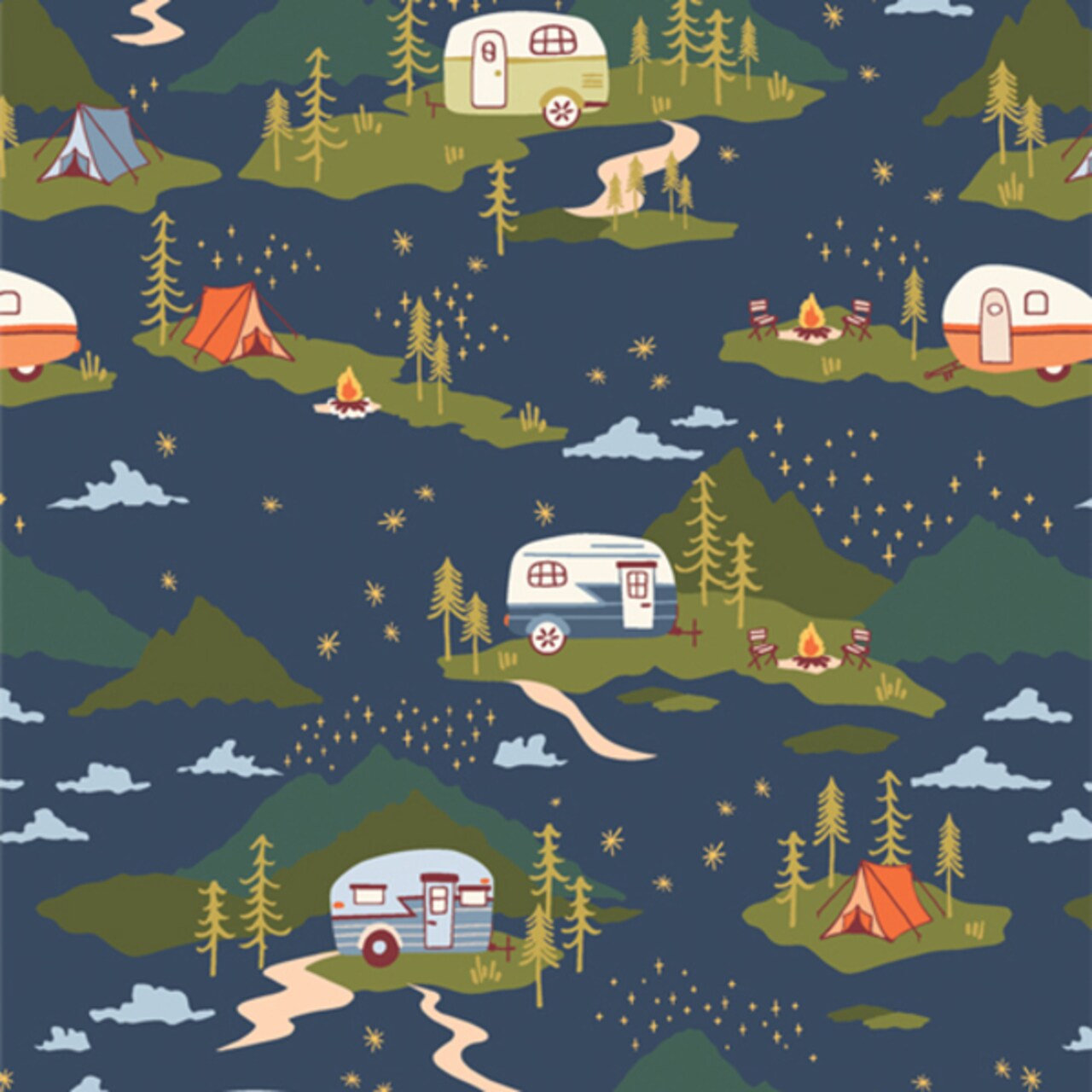 Campfire Stories in Night (hpc-64606) | Happy Camper | Maureen Cracknell | Art Gallery